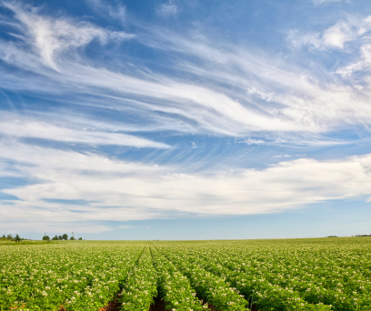 Agri (1)