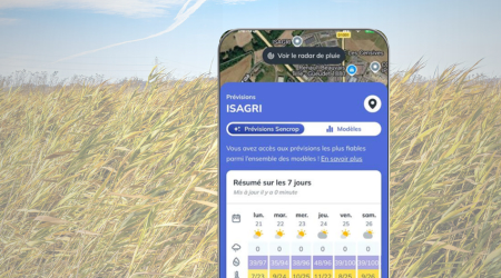 sencrop-application-meteo-agricole
