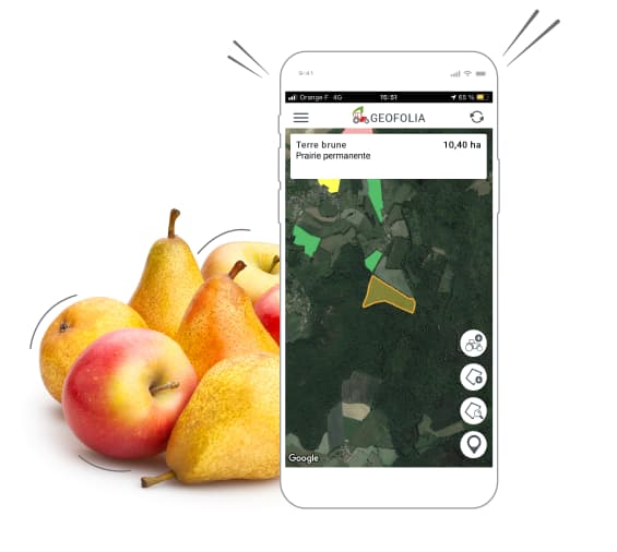 COPIE Smartphones_Geofolia2_768x503