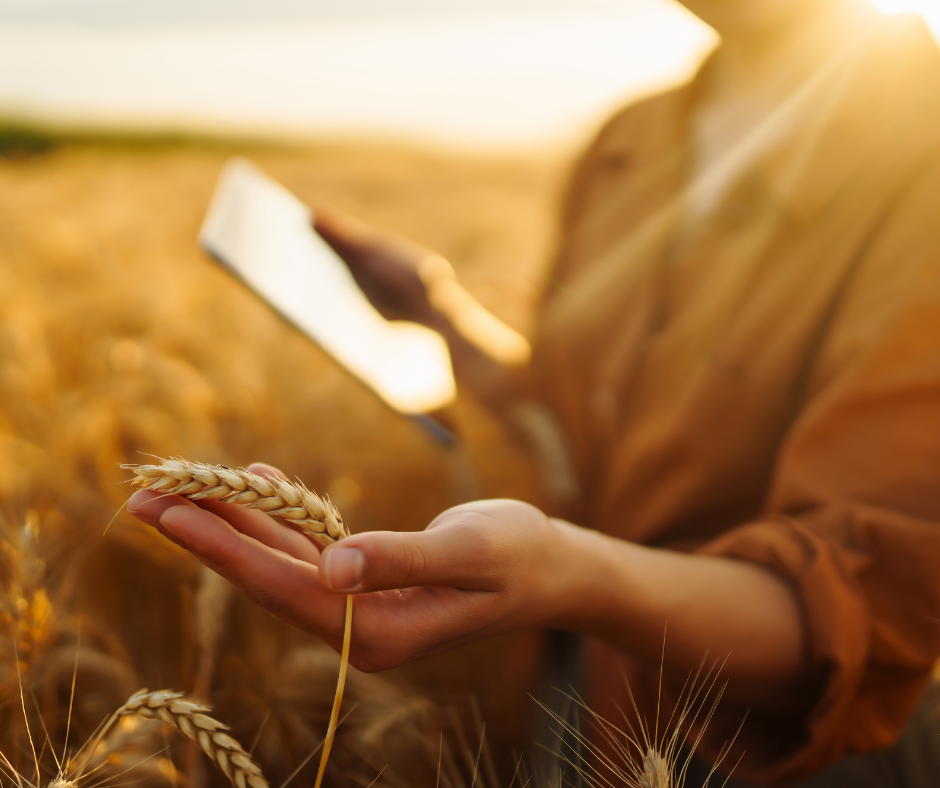 Webp Image site web (940 x 788 px) (10)