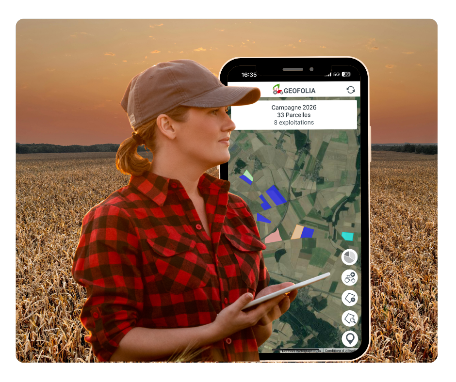 Webp Image site web (940 x 788 px) (24)